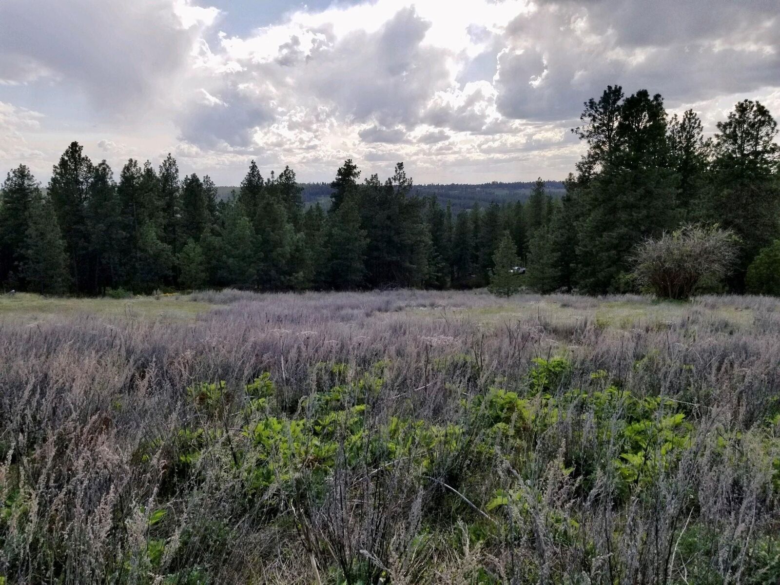 Property Photo: 13853 S Serenity Ln WA 99036