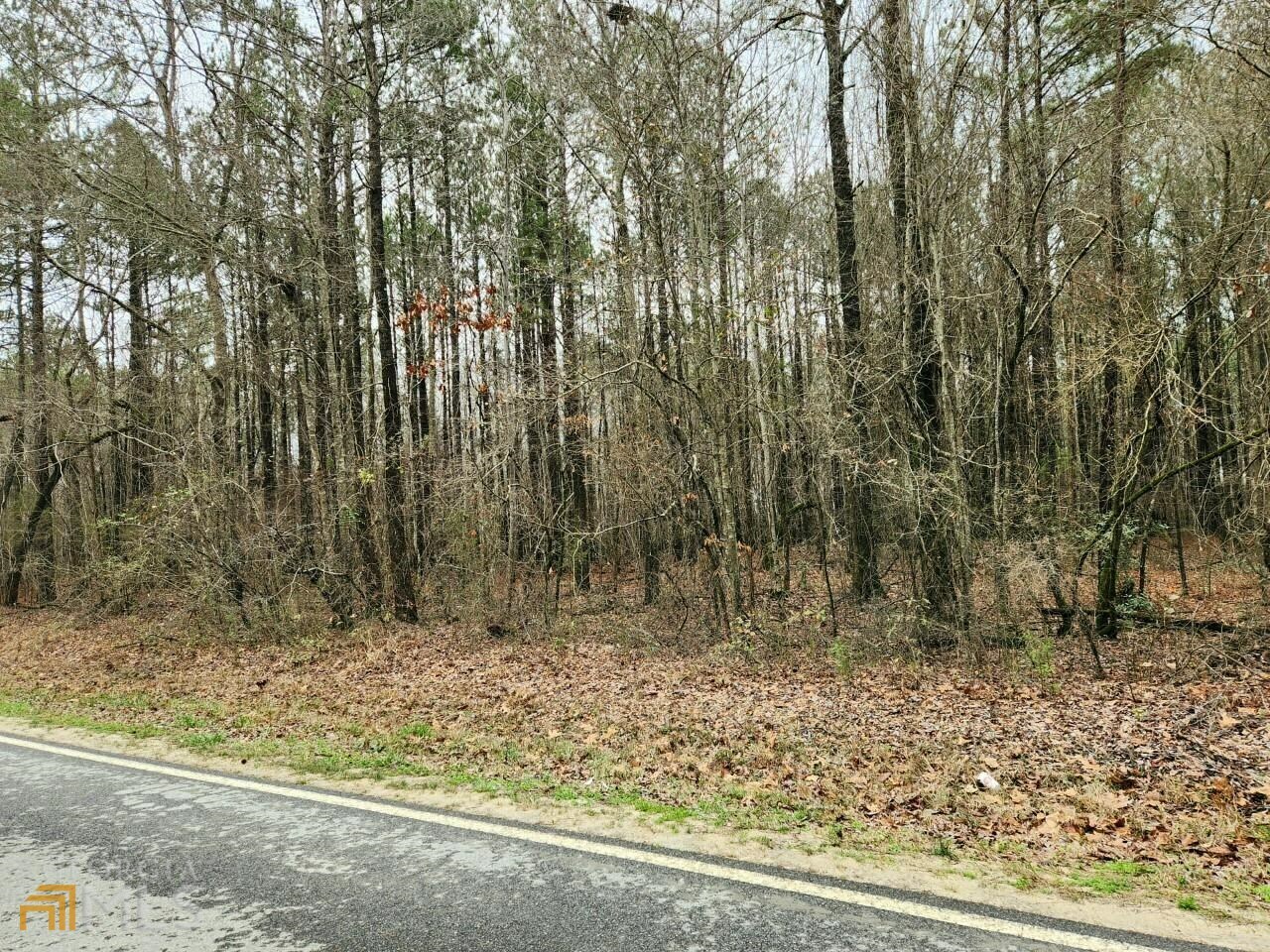 Property Photo:  0 Windy Lane  GA 30233 