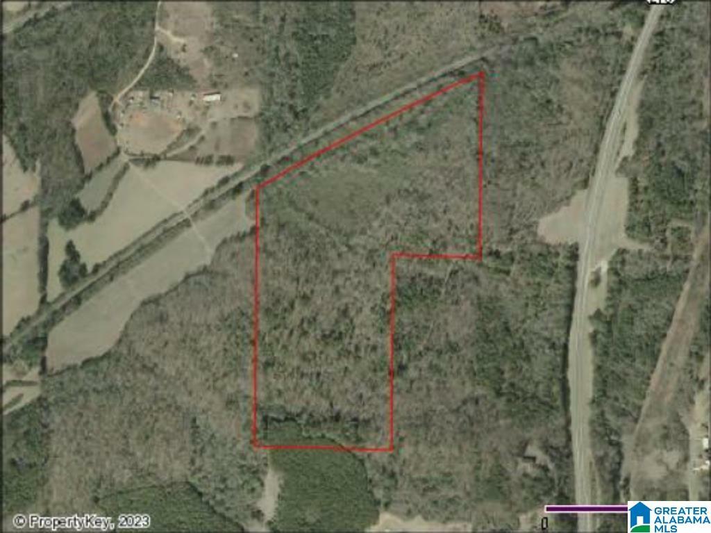 Property Photo:  0 E Renfro Road 46 Acres  AL 35160 