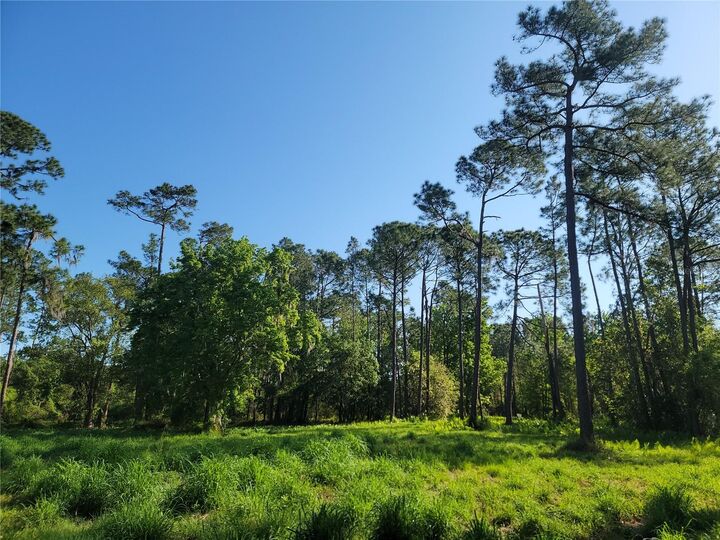 Pollard Road  Winter Haven FL 33884 photo