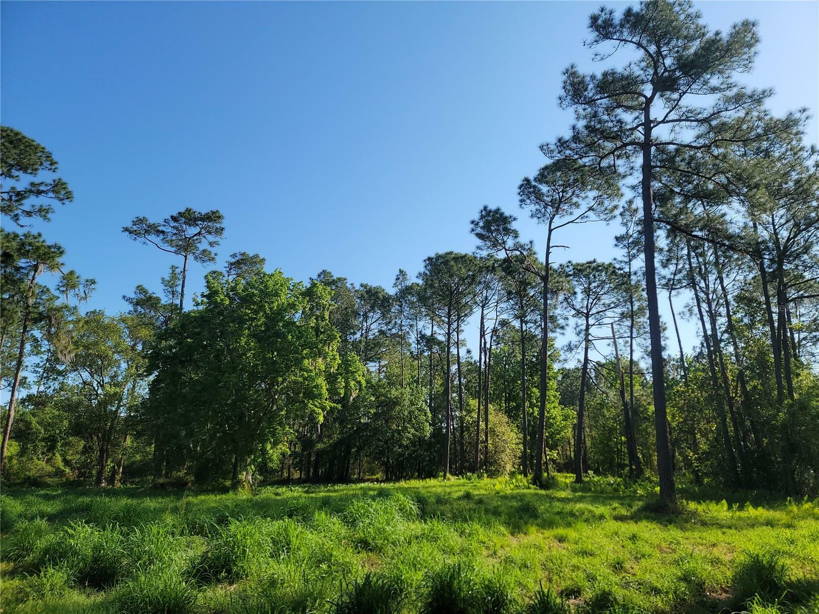 Property Photo: Pollard Road FL 33884