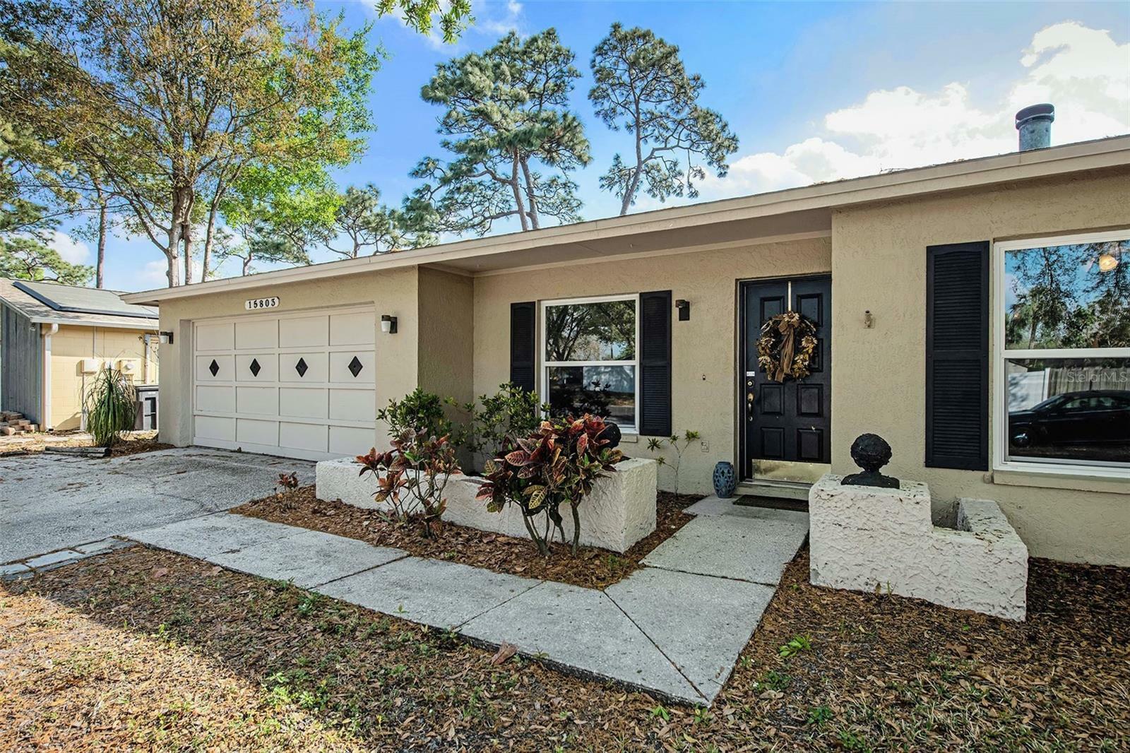 Property Photo: 15803 Shillington Drive FL 33624