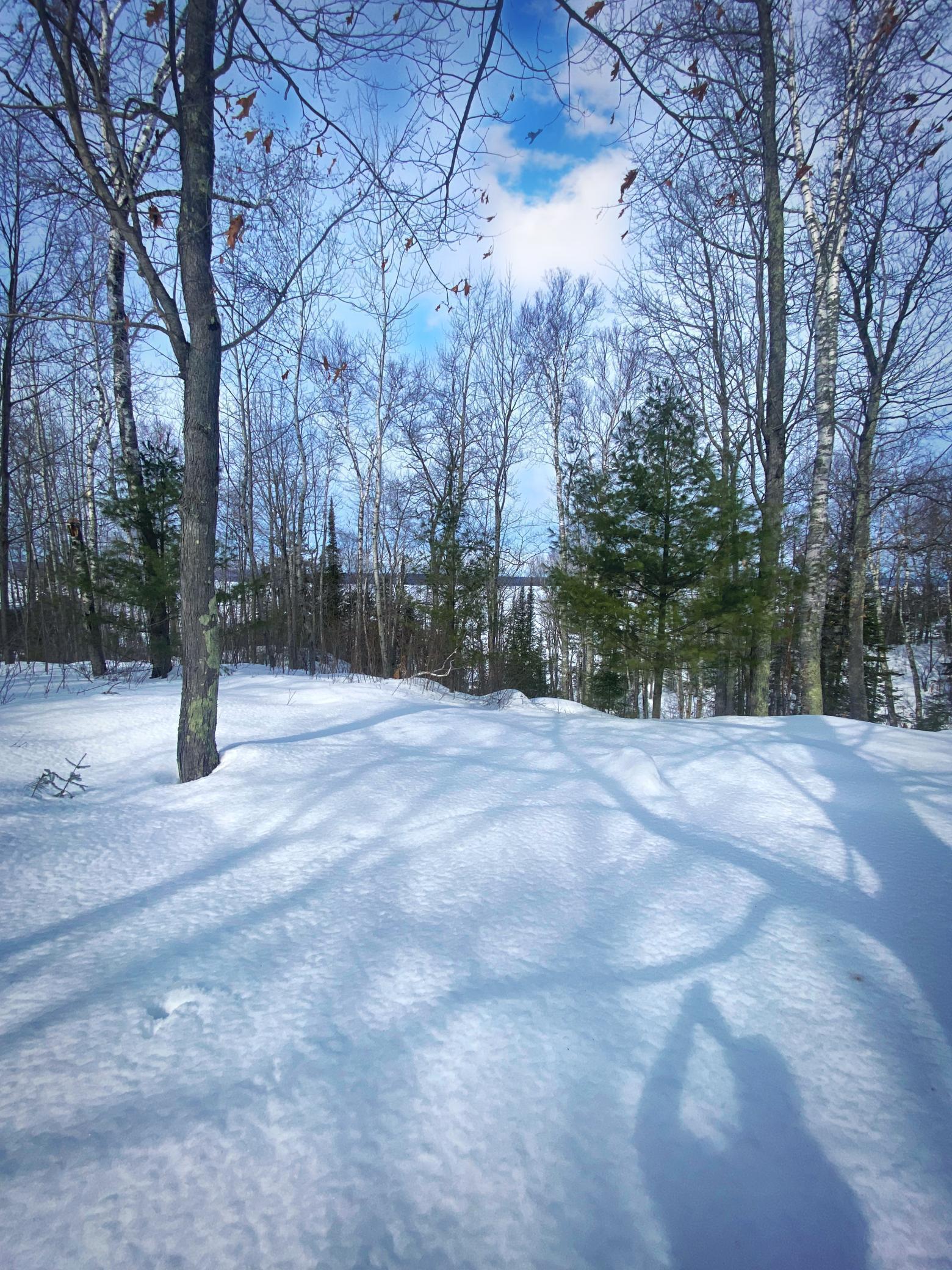 Property Photo: 1744 N Shore Road WI 54850