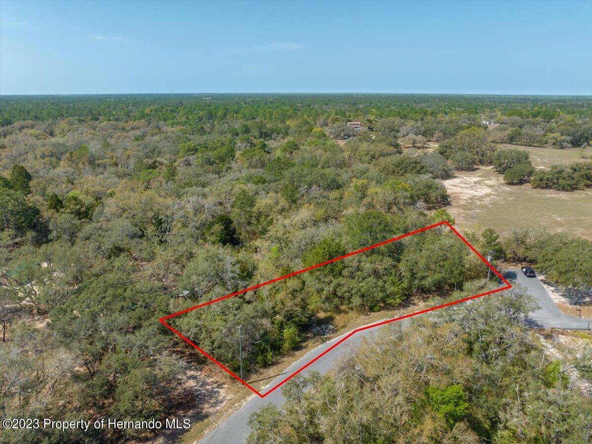Property Photo: Lot 5 Dolquieb Lane FL 34614