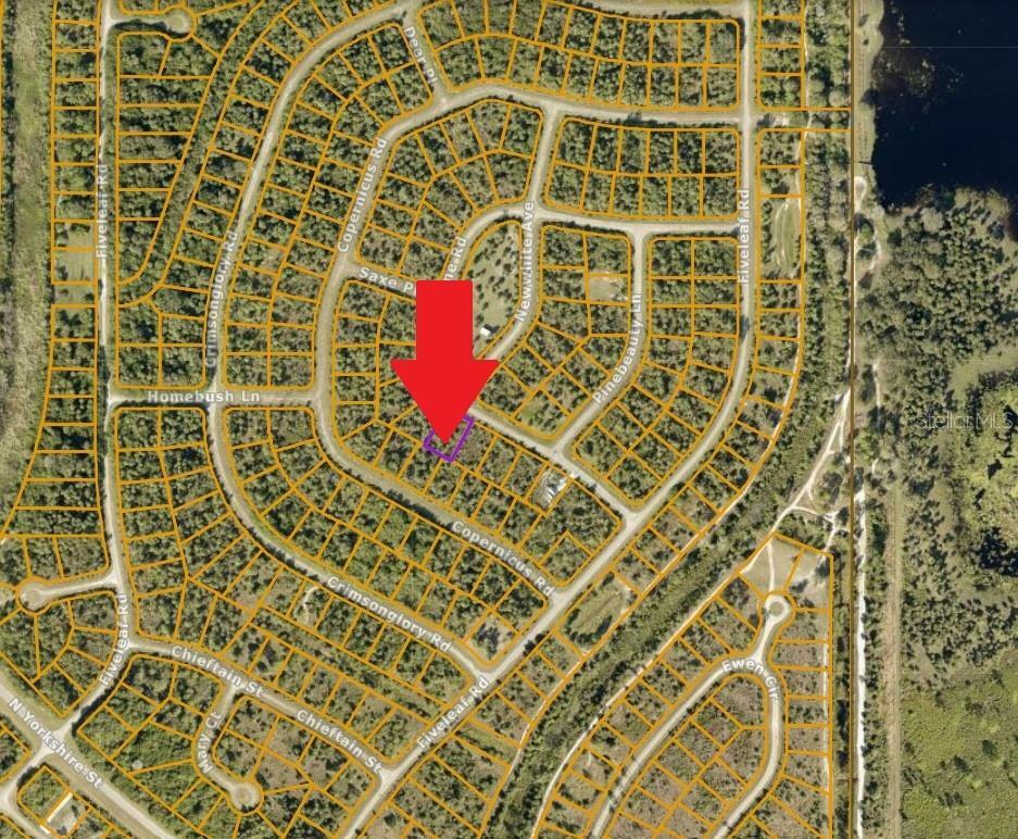 Property Photo:  Lot 19 Old Wine Road  FL 34288 