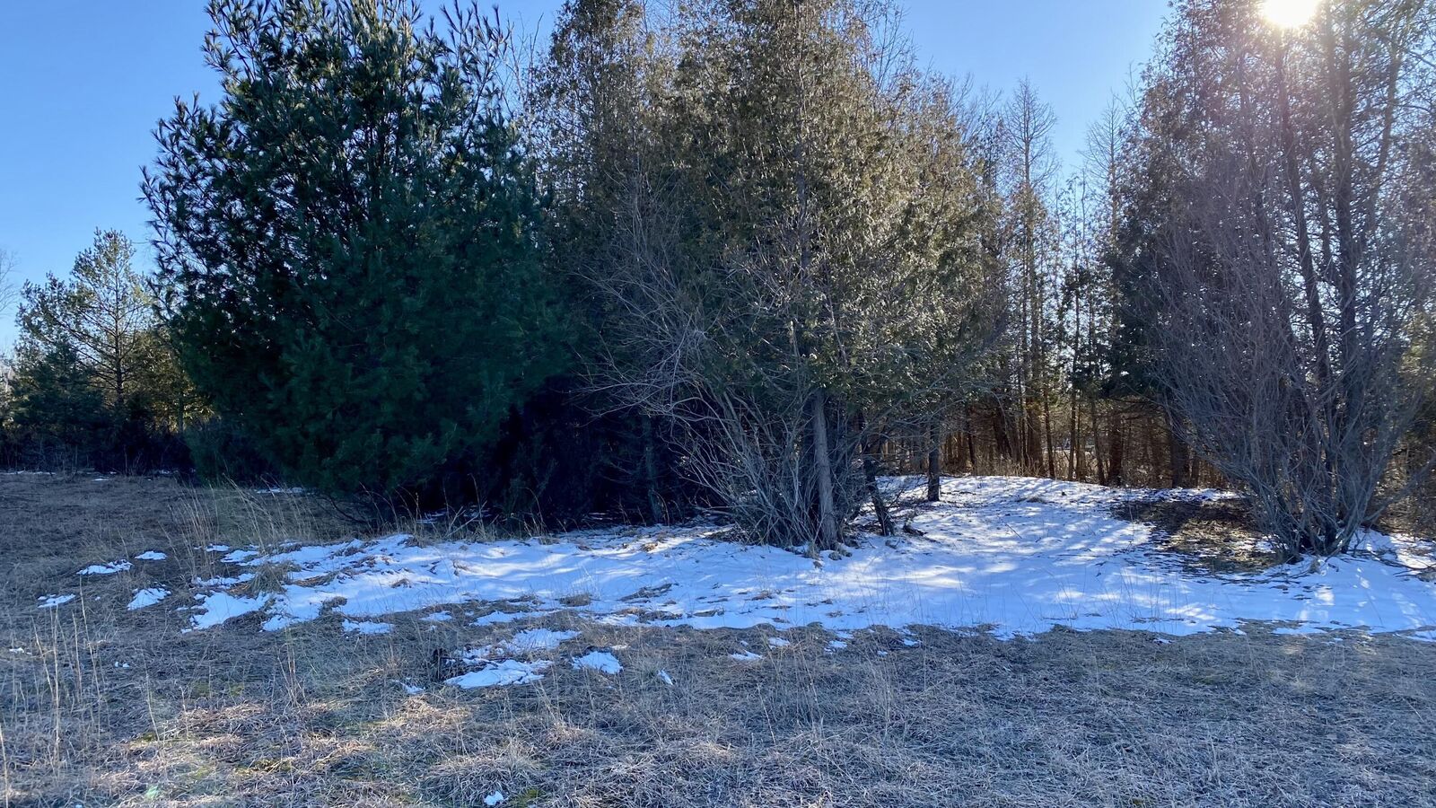 Property Photo: Greenway MI 49675