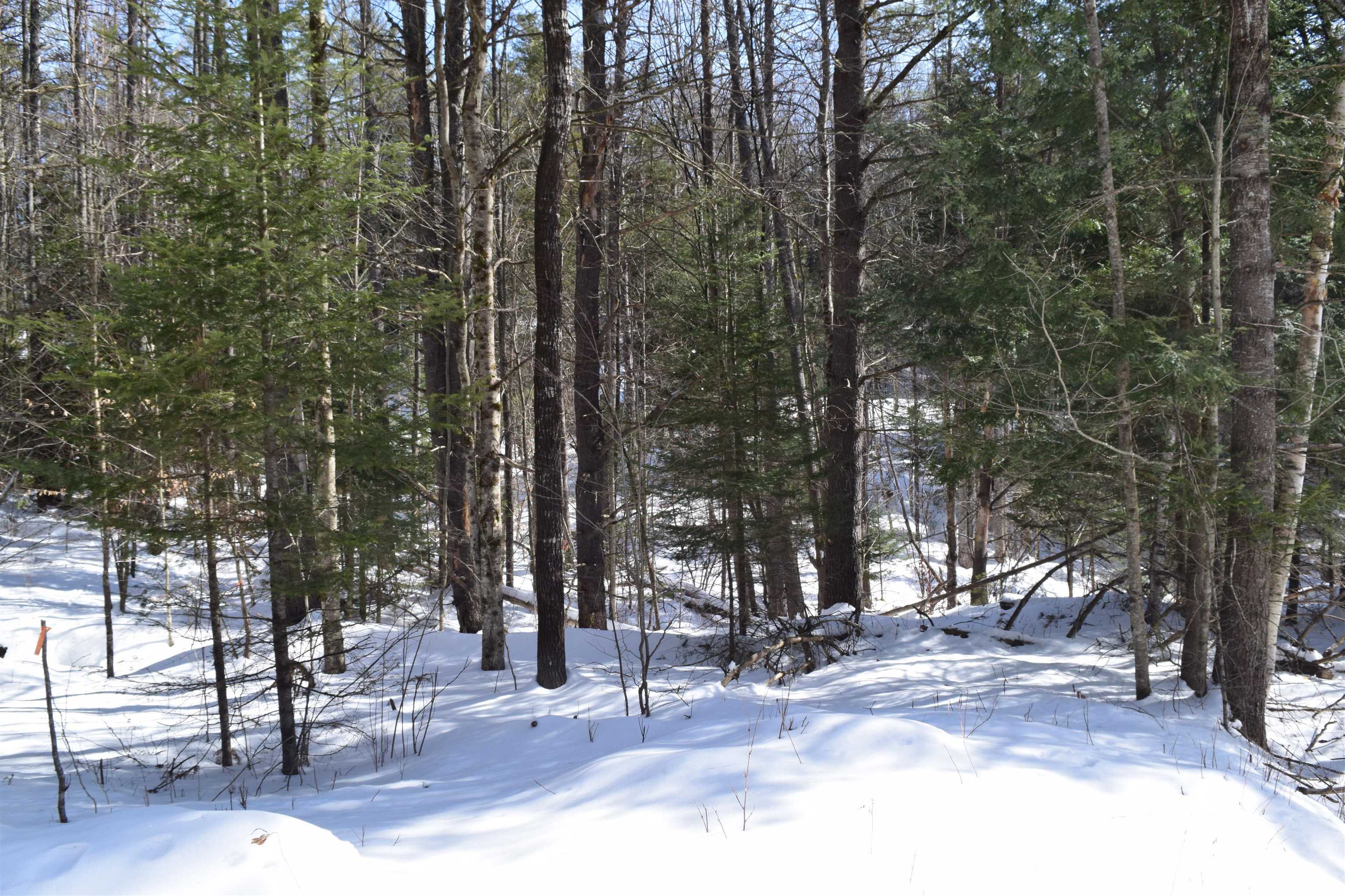 Property Photo: 0 Perch Pond Road R-15 Block 00A Lot 8 Of 442 NH 03585