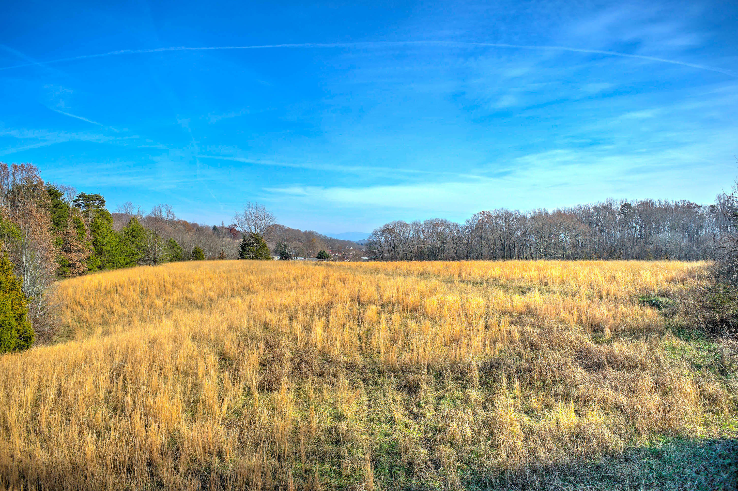 Property Photo:  Lot 20R Lick Hollow Road  TN 37743 