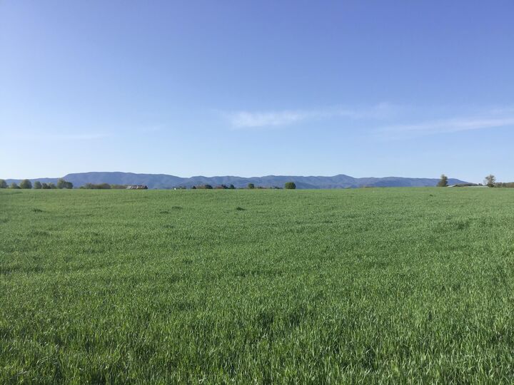 1.32 Ac Earnest Road  Chuckey TN 37641 photo