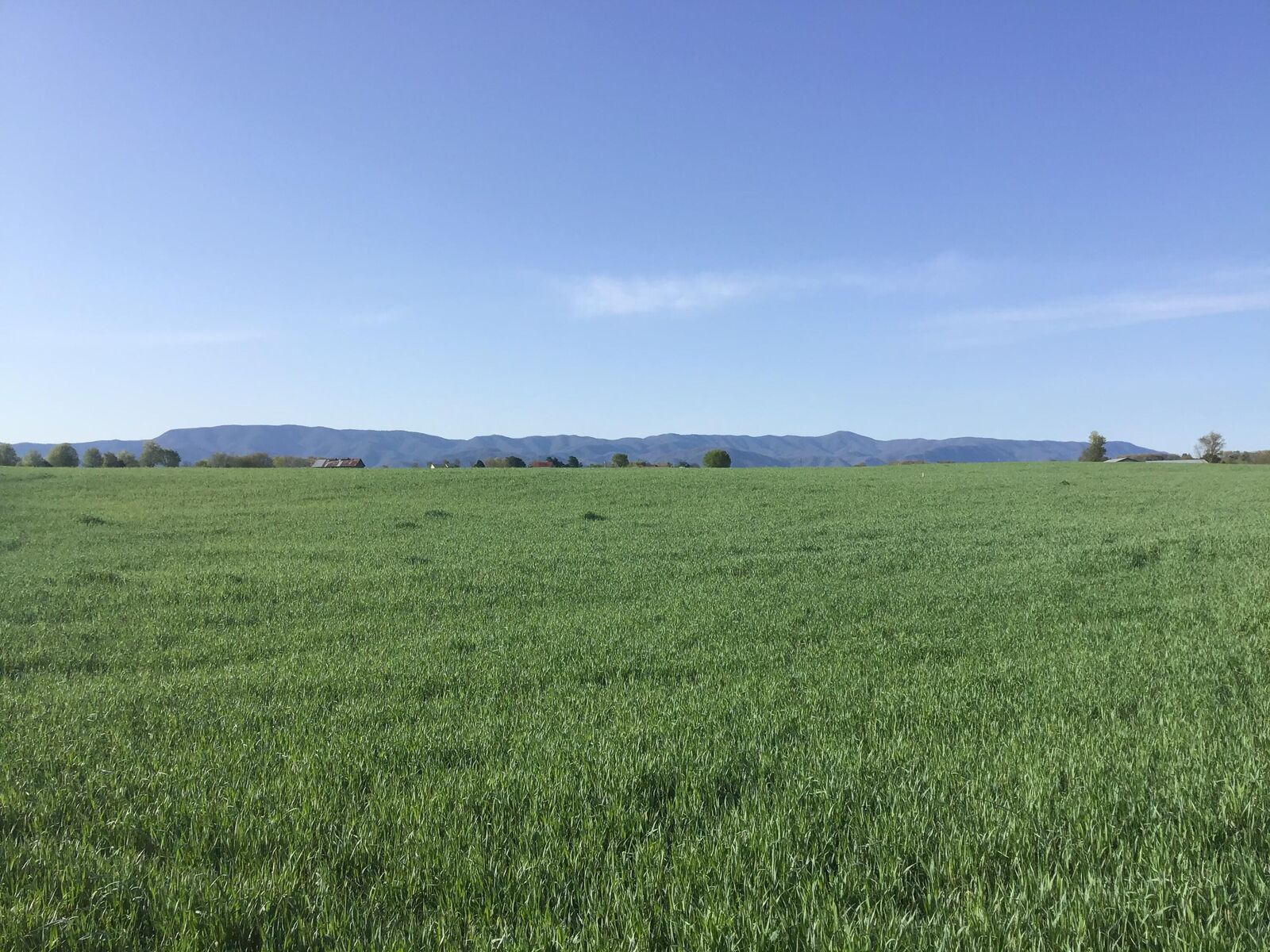 Property Photo:  1.32 Ac Earnest Road  TN 37641 