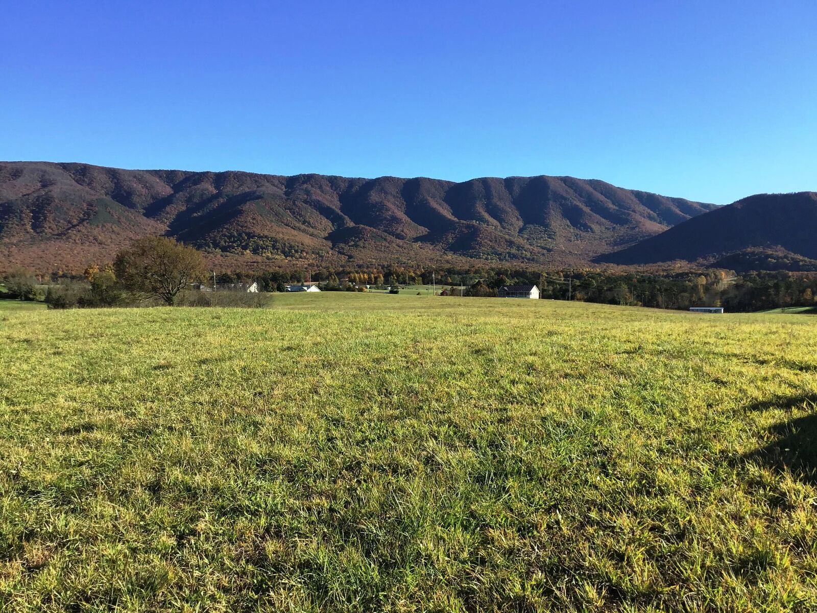 Property Photo: Lot 12 Sunnydale Road TN 37743