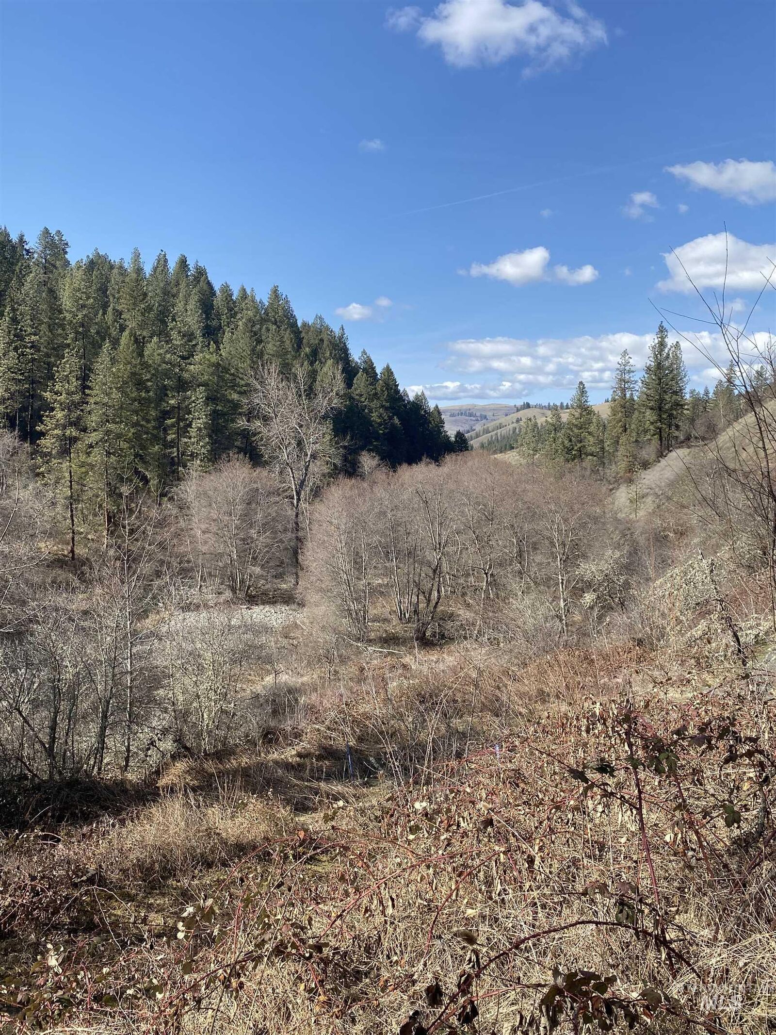 Property Photo:  Tbd Central Ridge Road  ID 83545 