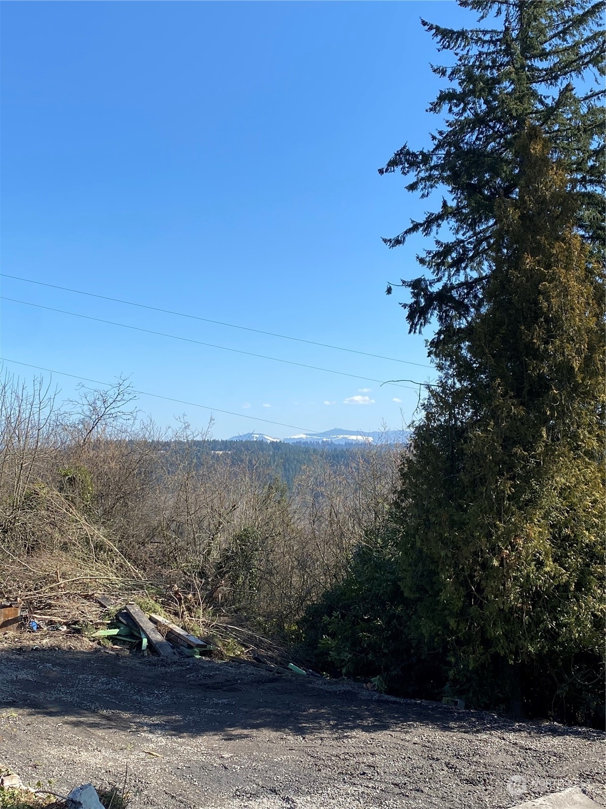 Property Photo:  13820 Military Road E  WA 98374 