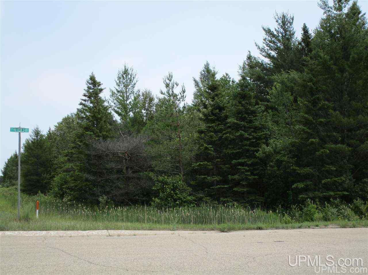 Property Photo: Tbd US2 Lot 1, 2 And 3 MI 49878