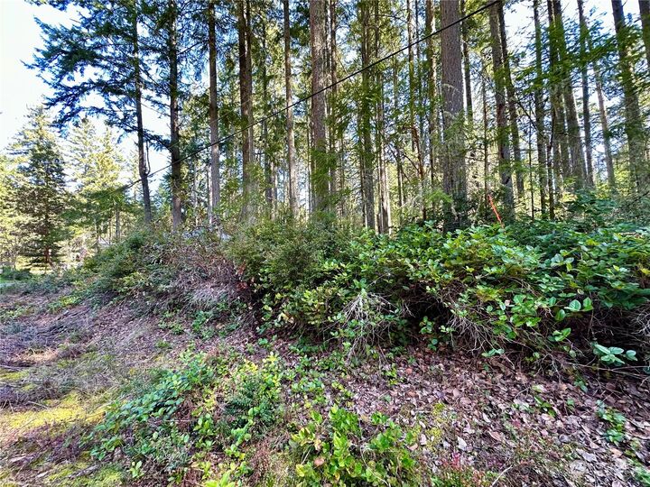 Property Photo:  9209 123rd Avenue  WA 98303 