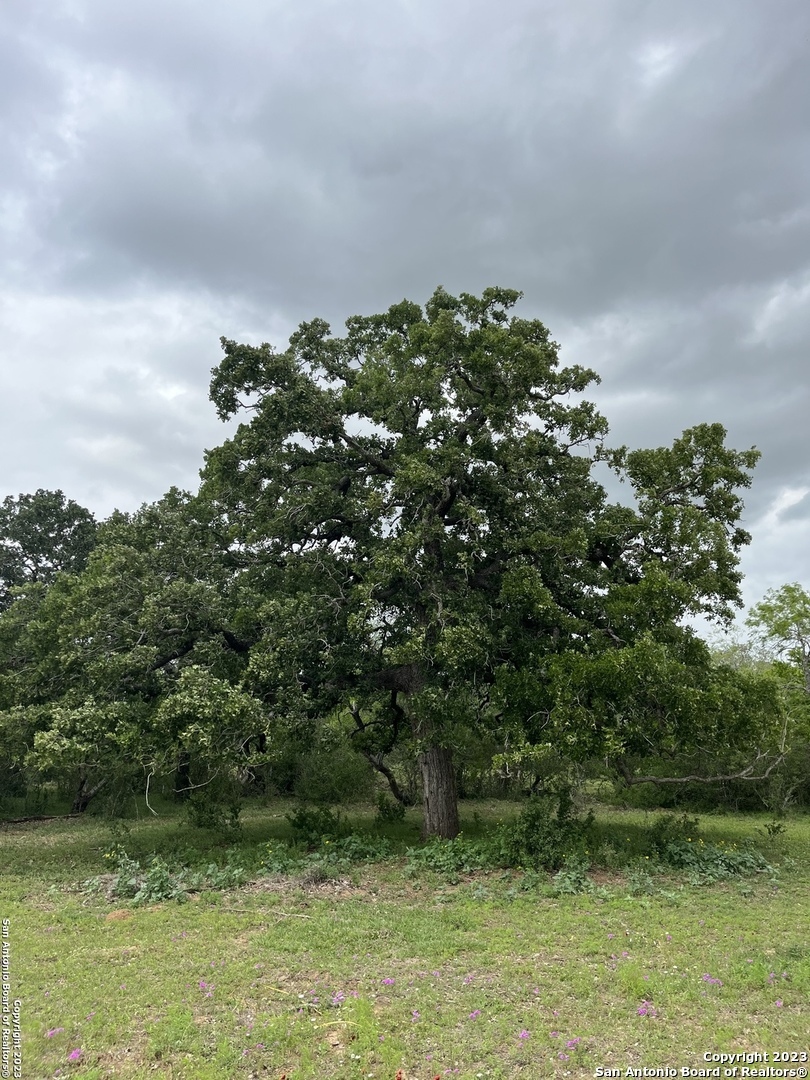 Property Photo:  2725 County Road 421  TX 78160 
