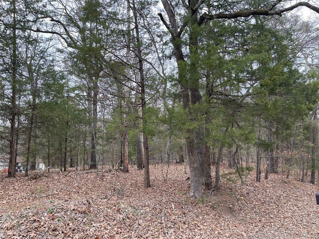 Lot 1 Whispering Pine Trail S  Mount Vernon TX 75457 photo