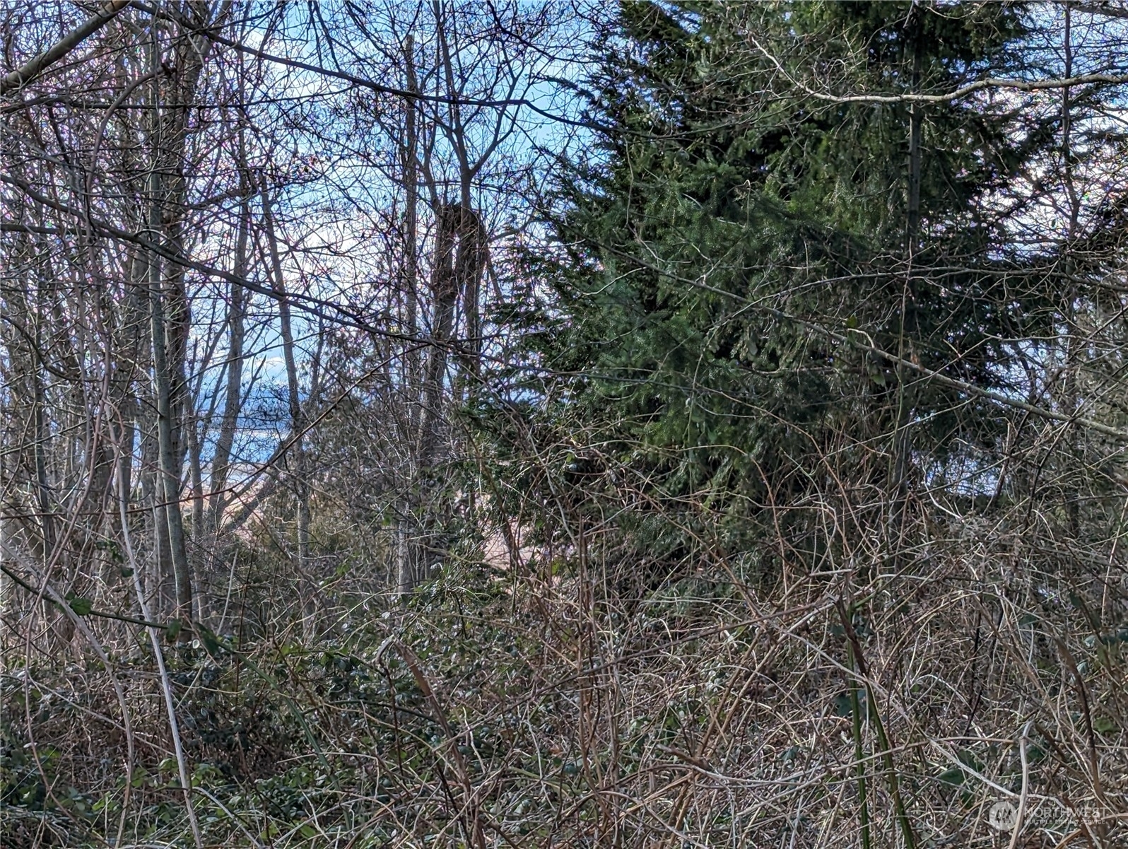 Property Photo:  0 Lot 55 Nimitz Drive  WA 98239 