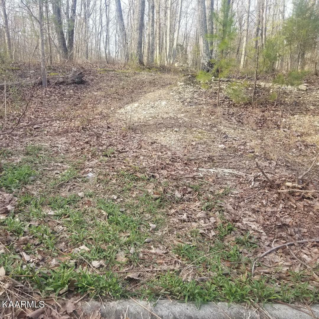 Property Photo:  975 County Road 316  TN 37826 