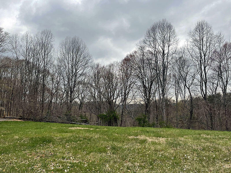 Property Photo:  Lot 91 Stillwater  KY 42642 