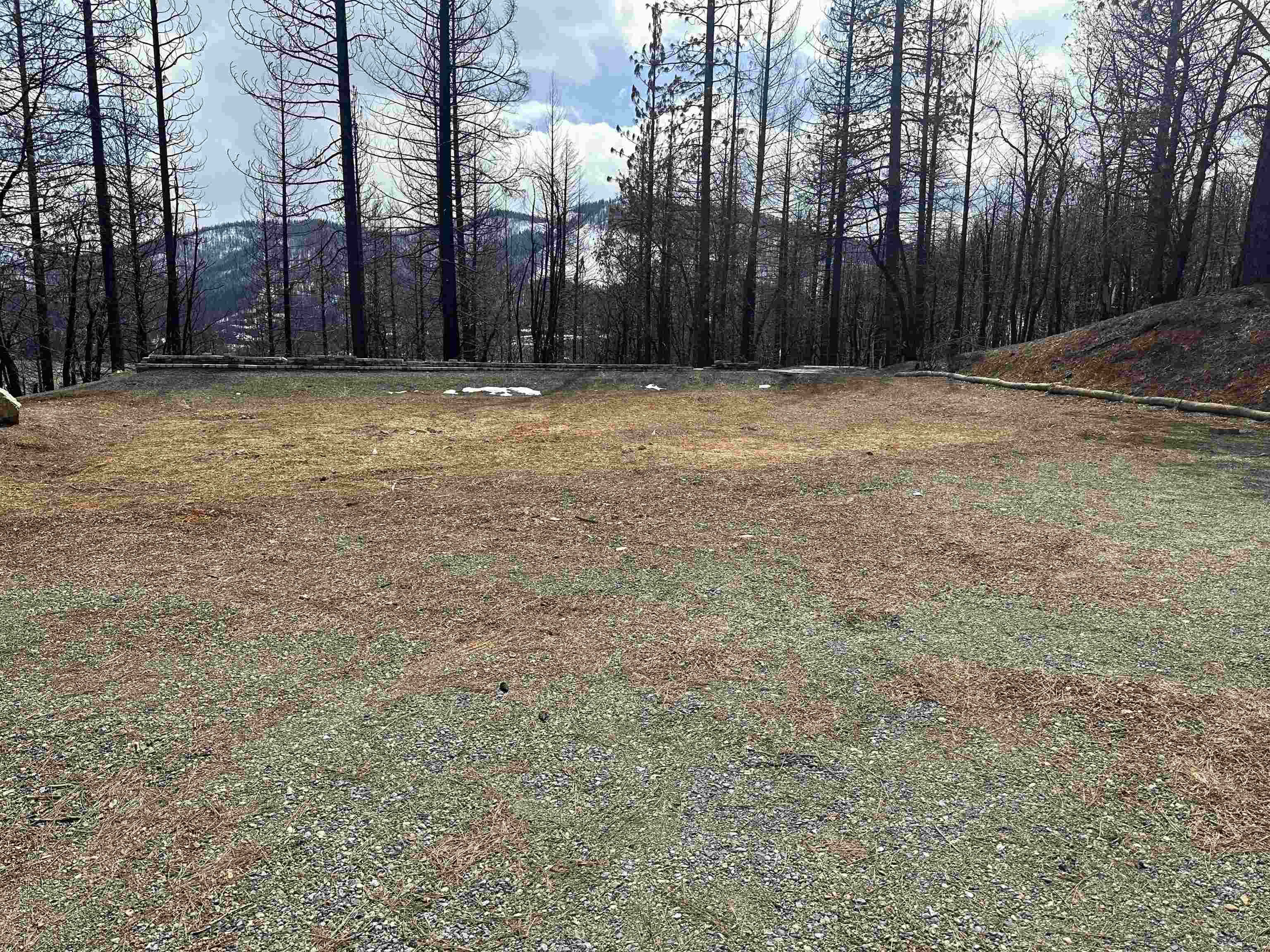 Property Photo: 137 Williams Valley Road CA 95947-9784