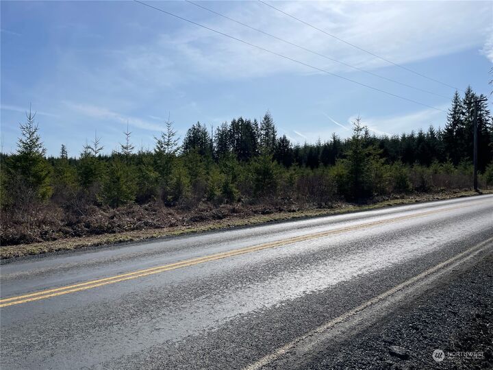 Property Photo:  0  Nikula Road  WA 98596 