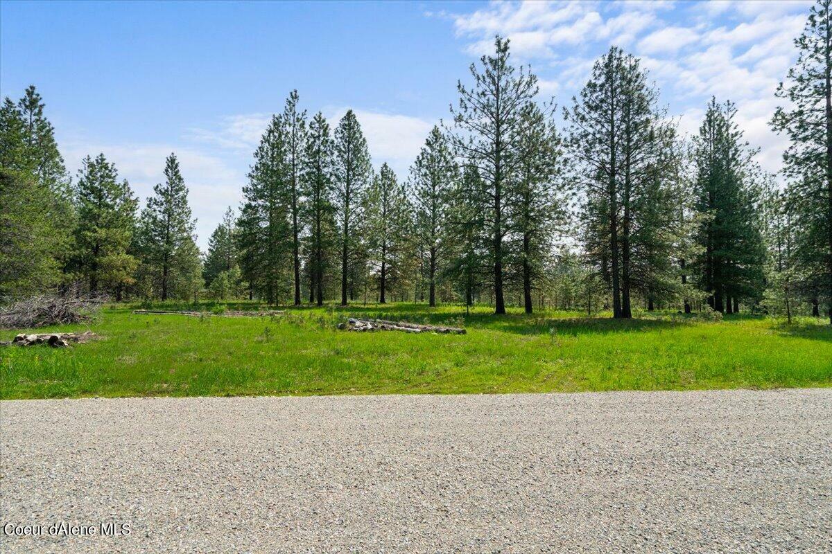 Lot 4 Sheep Spring Acres  Athol ID 83801 photo
