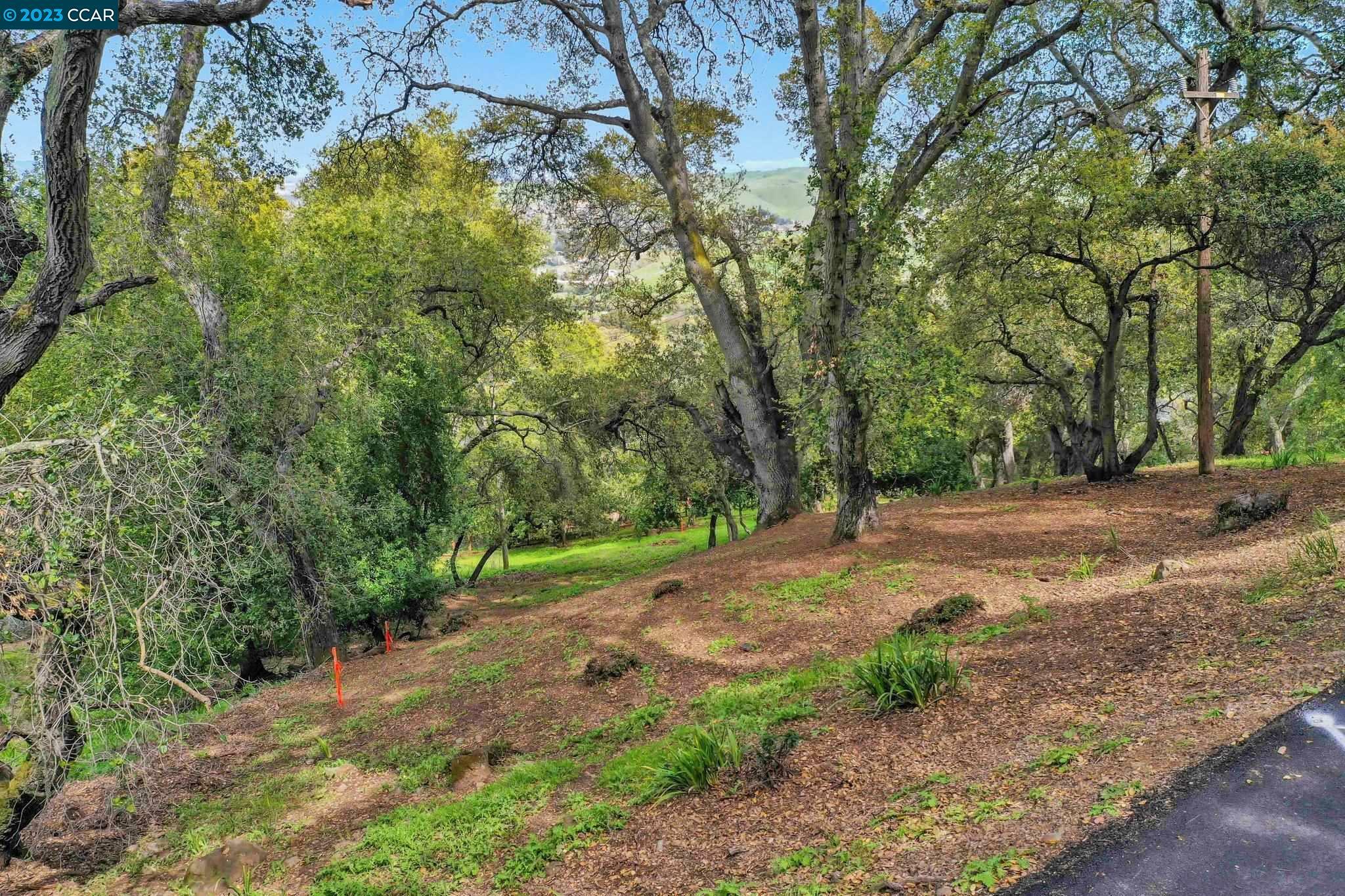 Property Photo: 103 Castlewood CA 94566