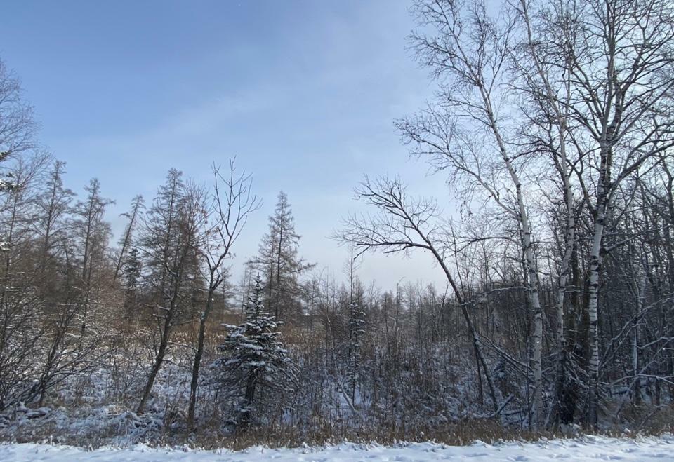 Property Photo:  20772 Toad Mountain Rd  MN 56570 