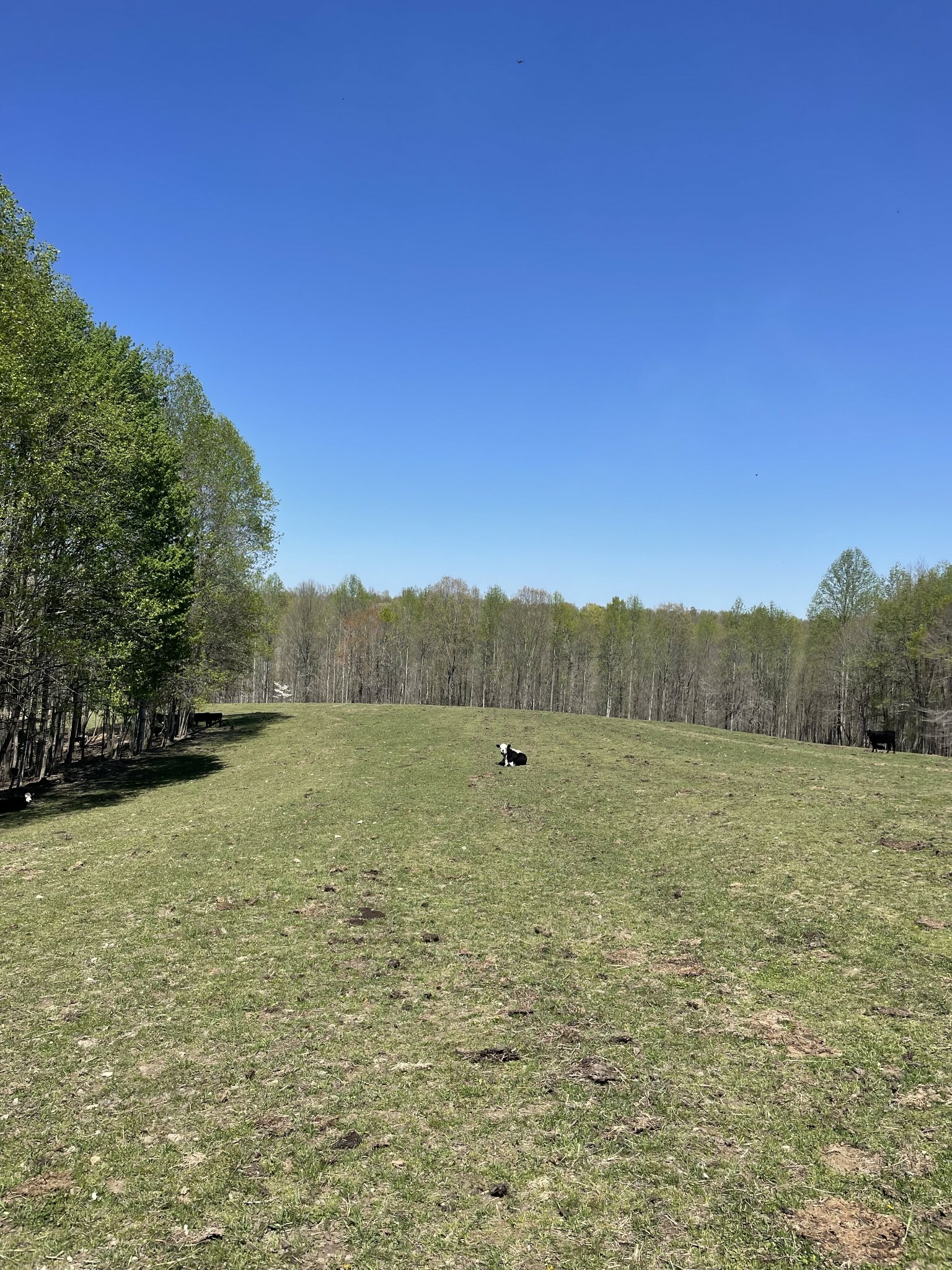 Property Photo: 0 Oak Grove Road TN 37150