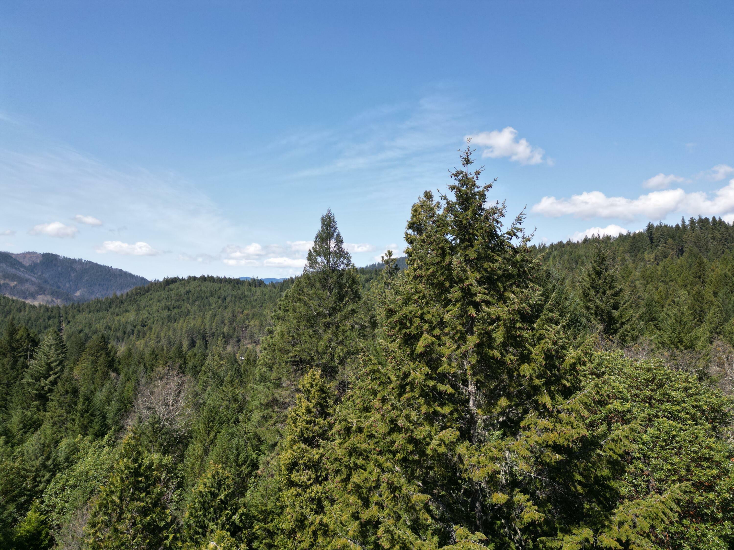 Property Photo: 2275 Crow Road Road OR 97532