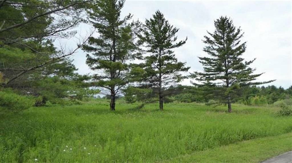 Property Photo:  Lot 73 Country Club 73  MI 49720 