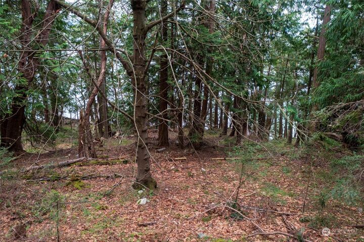 Property Photo: 0 Xx Spring Point Road WA 98245