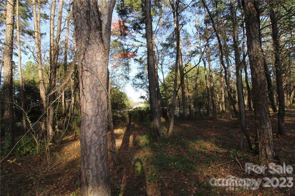 Property Photo:  15513 Nc Hwy 73 Highway  NC 28078 