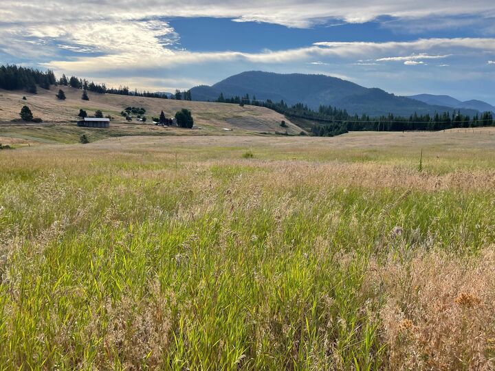 2691 Highline Rd  Chewelah WA 99109 photo