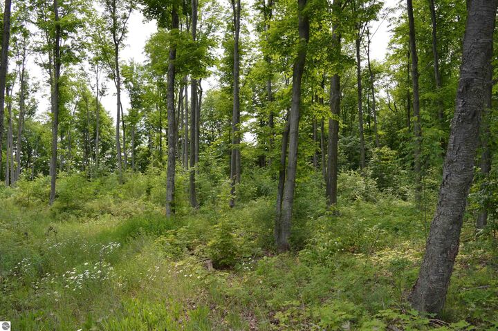 Property Photo: Sparling Road, E MI 49649