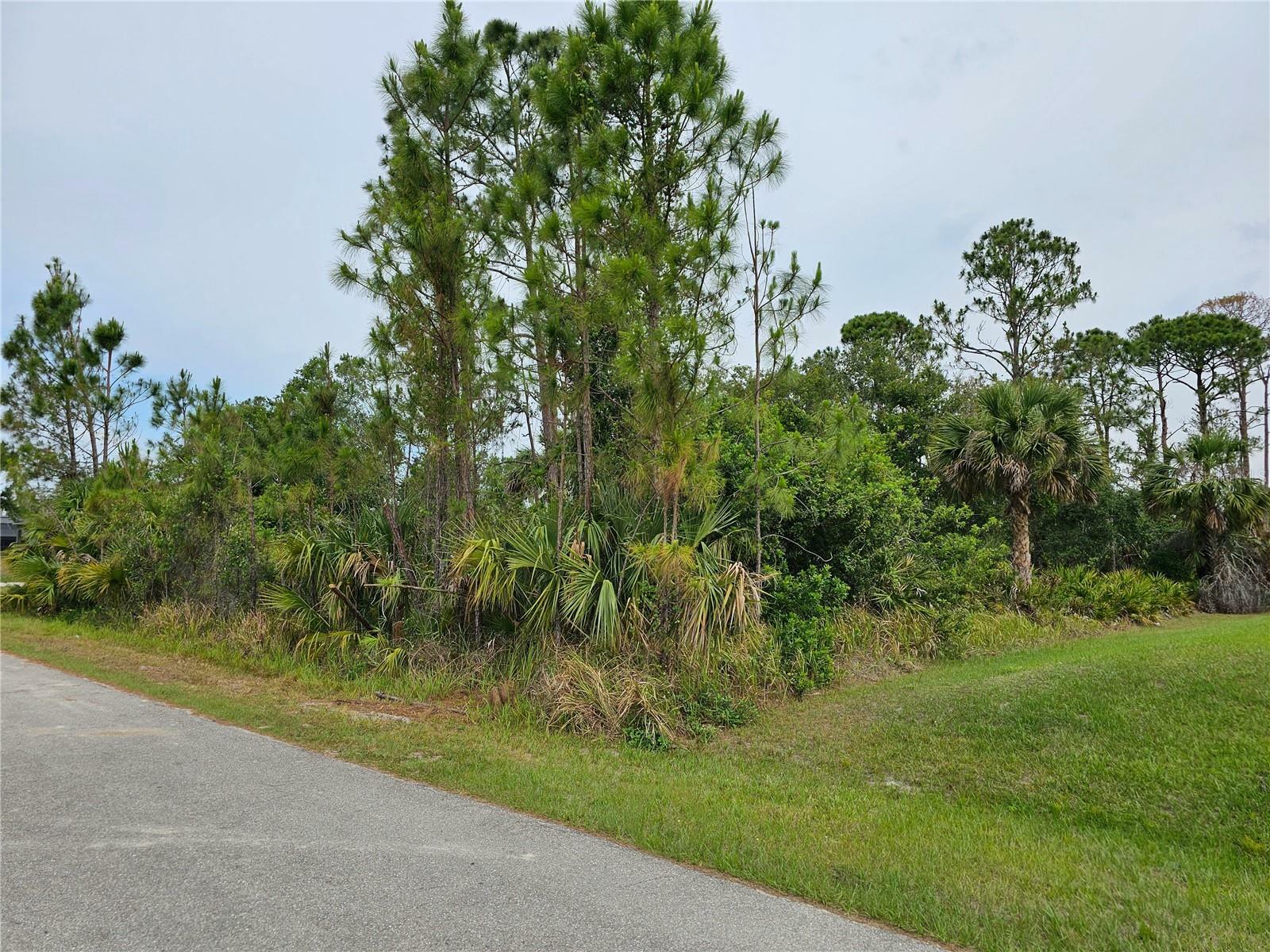 Property Photo:  Floret Court  FL 34288 