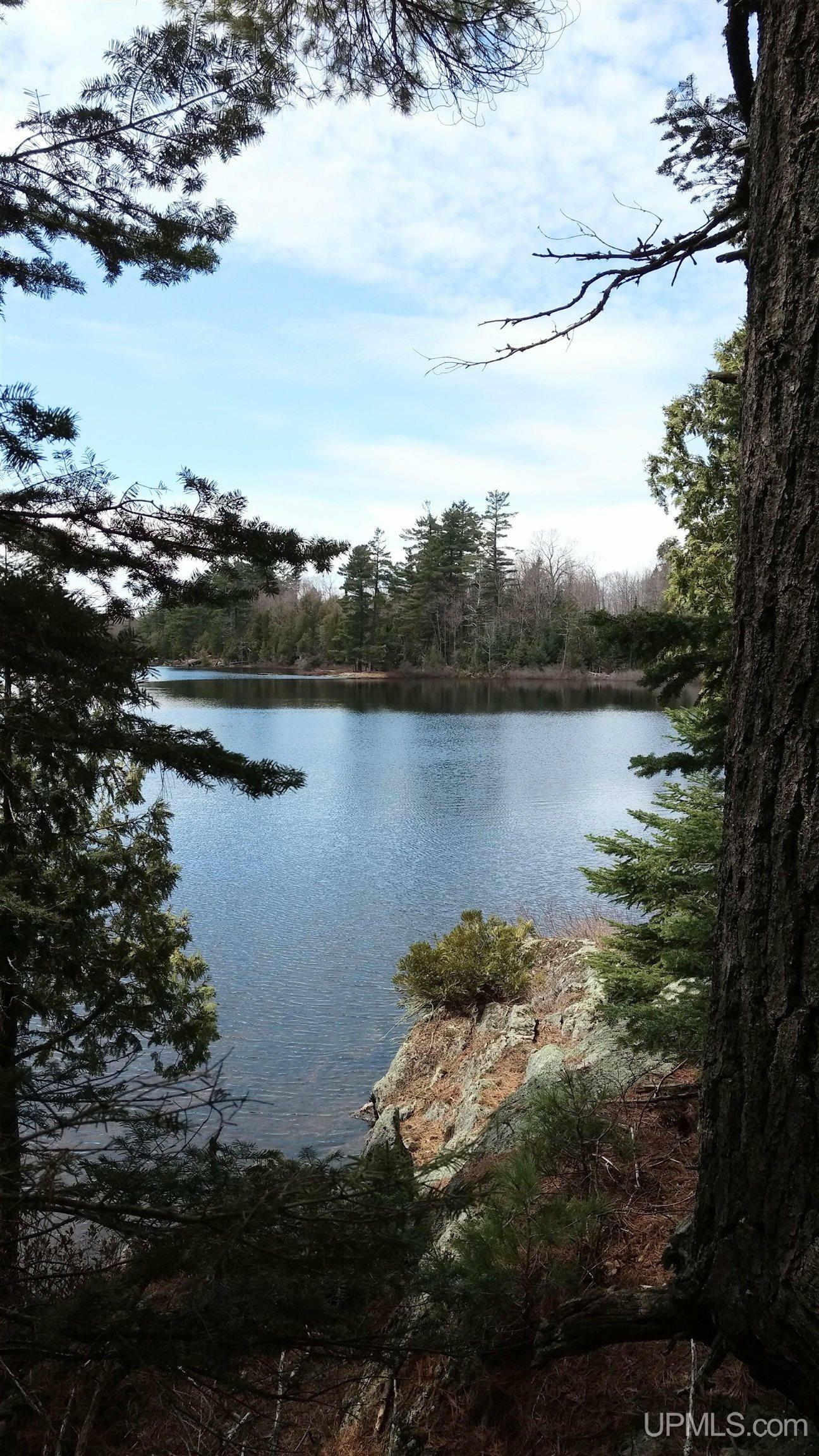 Property Photo:  Tbd Durchman Lake Road  MI 49946 