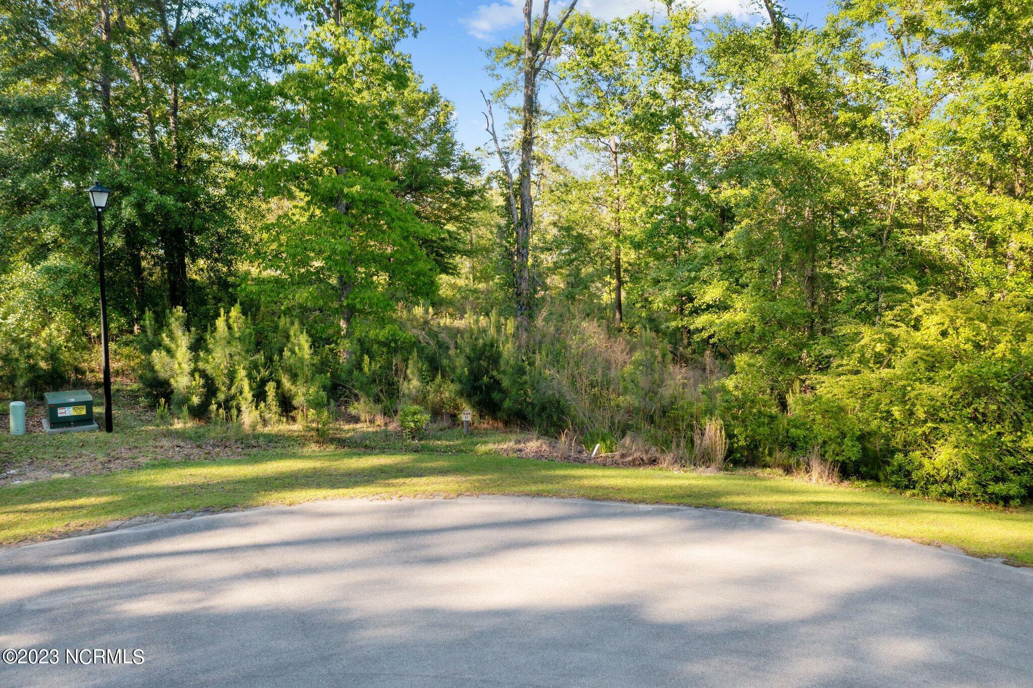 Property Photo:  Lot 8 Tree Hill Lane  NC 28539 