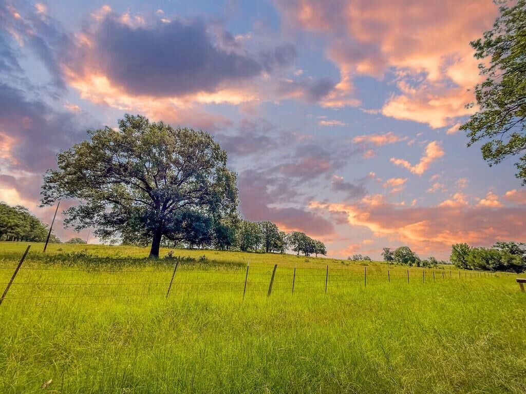 Property Photo:  Tbd Plat 2 Cr 1236  TX 75783 