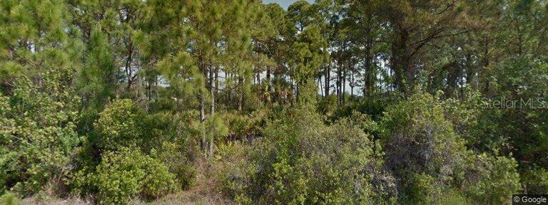 Property Photo:  14302 Riseley Avenue  FL 33953 