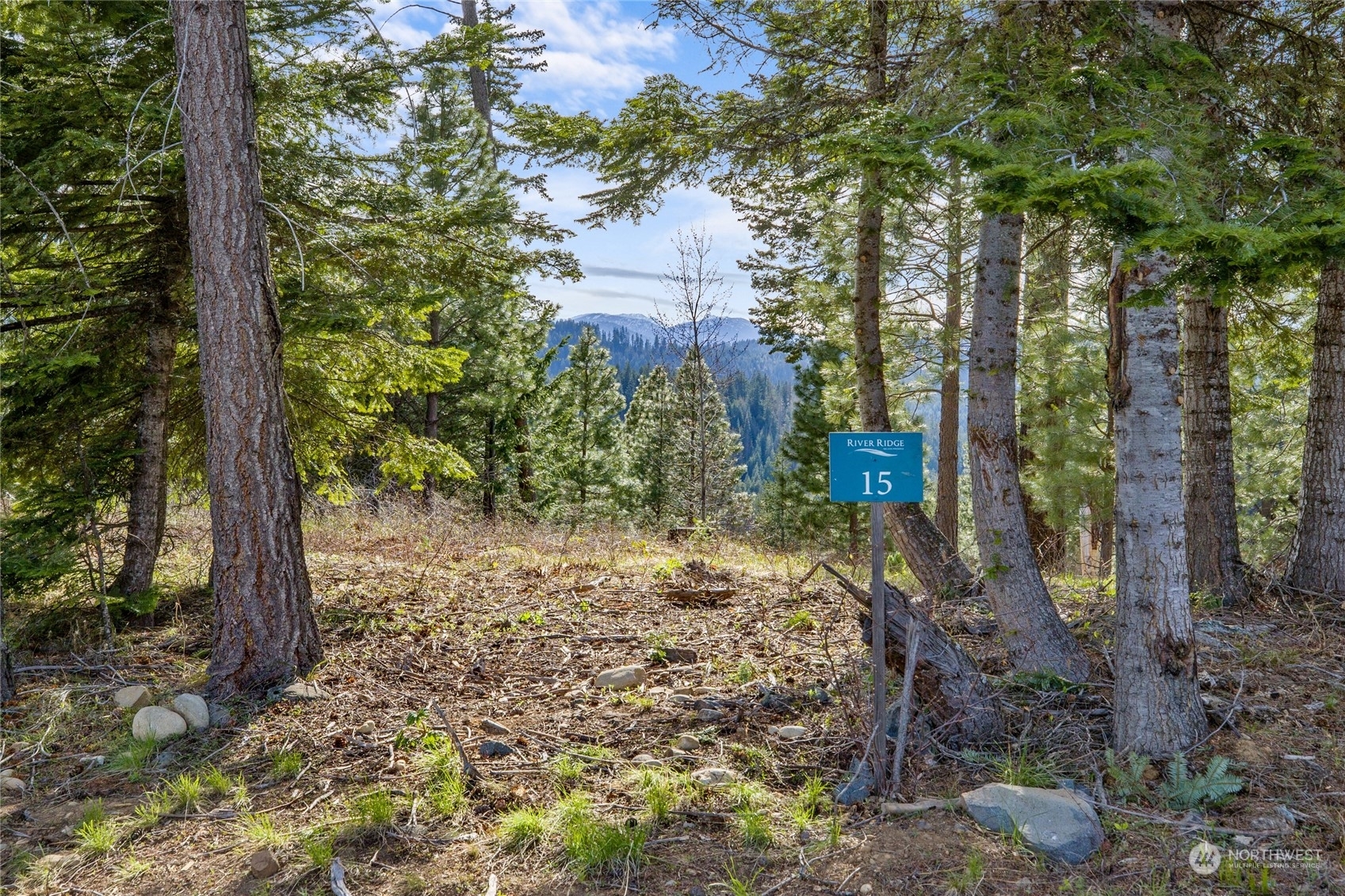 15 Kokanee Loop  Cle Elum WA 98922 photo