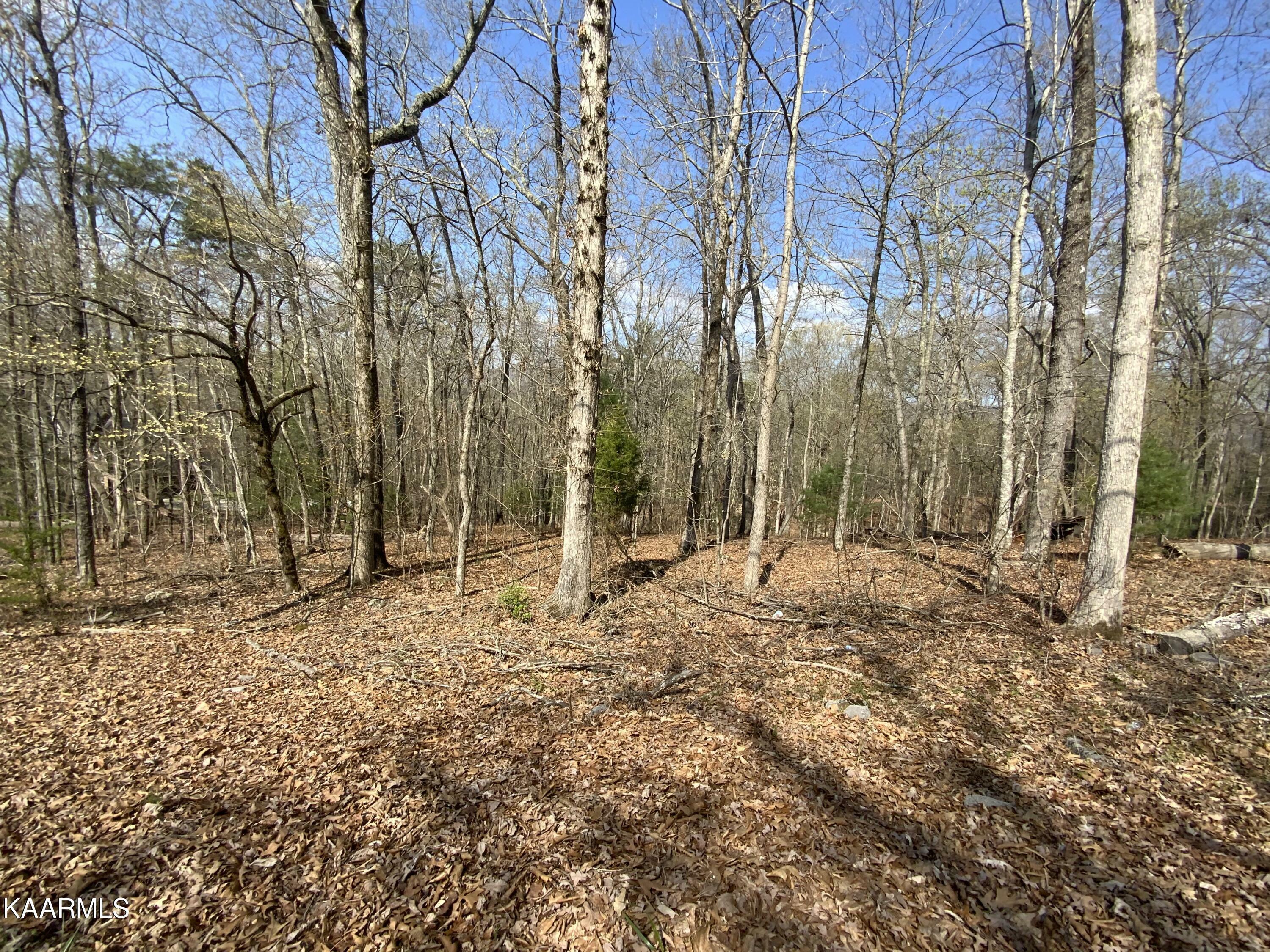 Property Photo:  Rendezvous Road Lot #22  TN 37854 