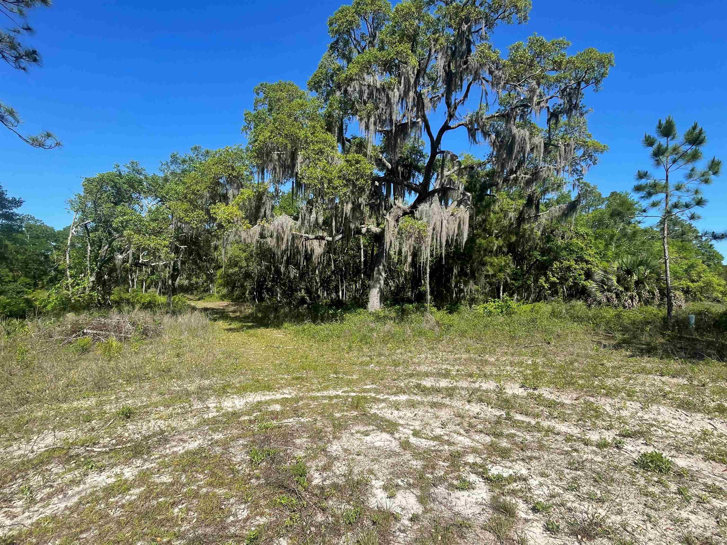 Property Photo:  Pelican Way  FL 32346 