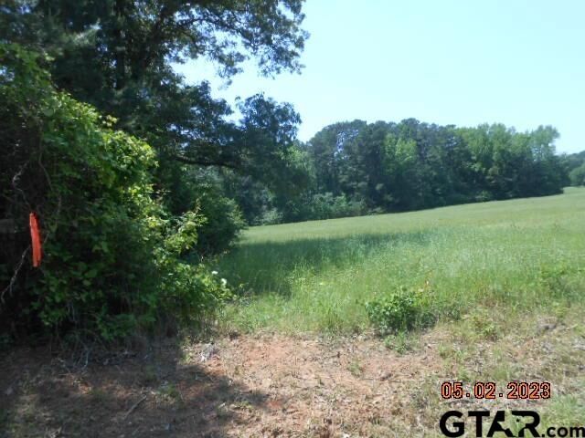Property Photo:  Lot 5 5.287 Ac Cr 217  TX 75652 