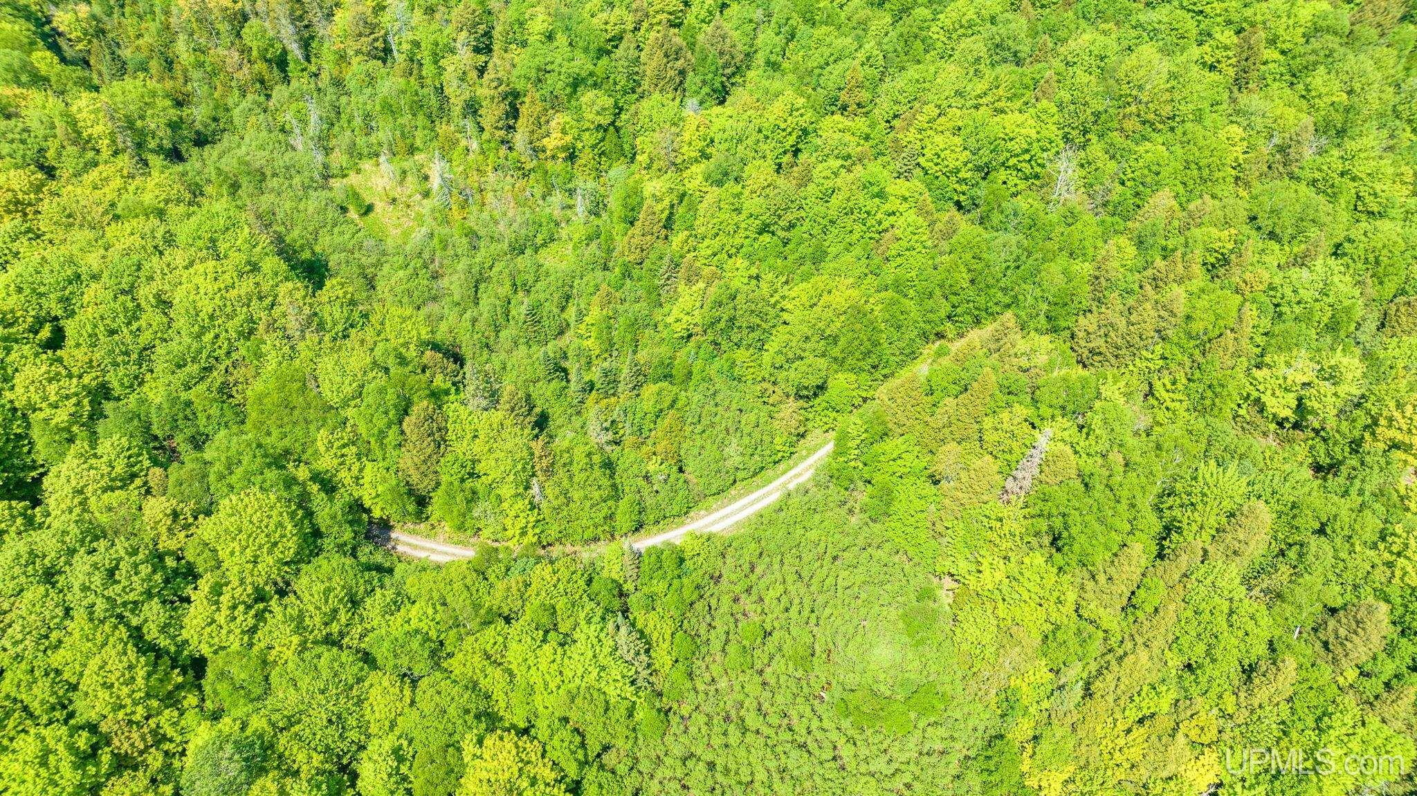 Property Photo: Tbd A Sunset Place MI 49905