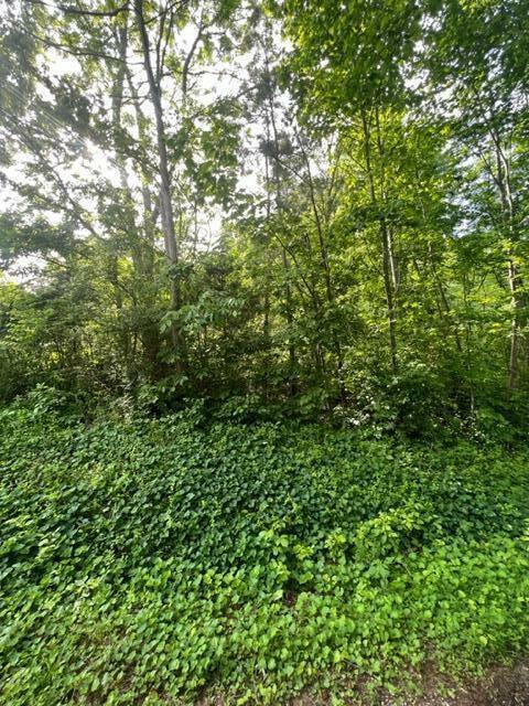 Property Photo: 000 Back Valley Road TN 37321