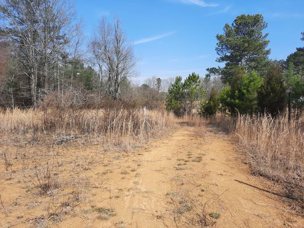 0 Johnson Road  Chatsworth GA 30705 photo