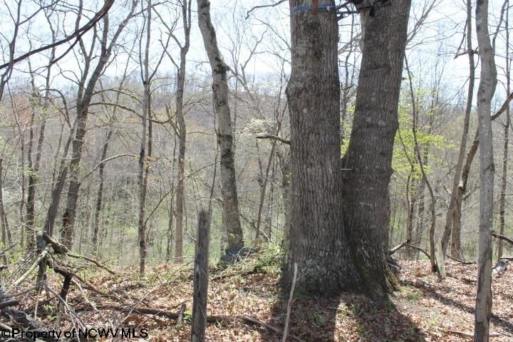 Property Photo: 0 S Hazelwood Road WV 26253