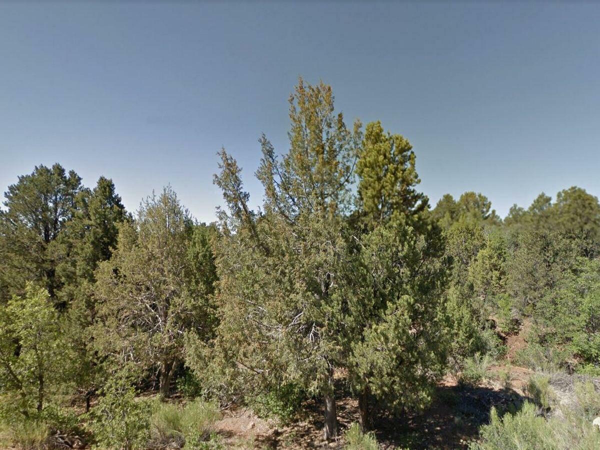 Property Photo:  Zion Hunting Est Blk 2 Lot 37  UT 84762 